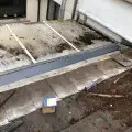 mould on roof